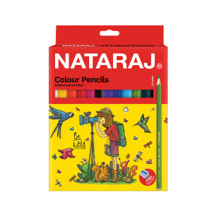 Full Size Colour Pencil