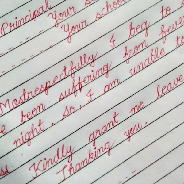 Grippo Pen Red - Image 4