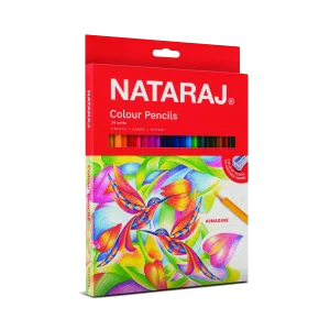 Full Size 24 Colour Pencil
